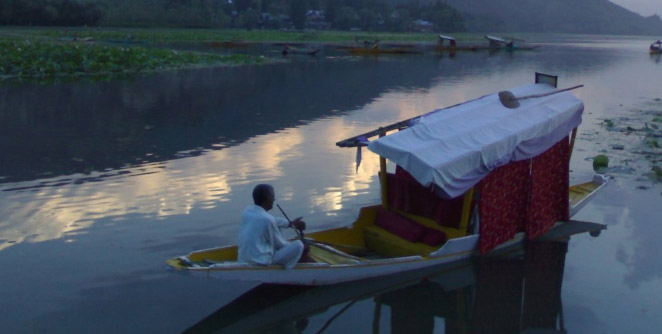 kashmir