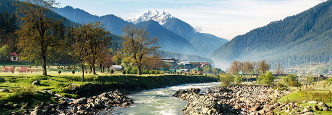 kashmir