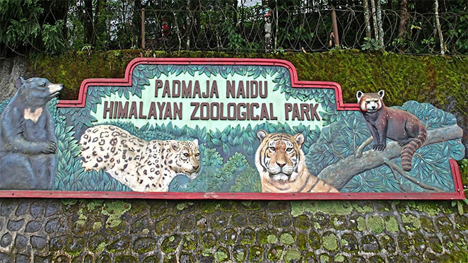 Darjeeling3