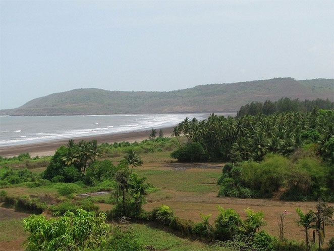 Kalsi1