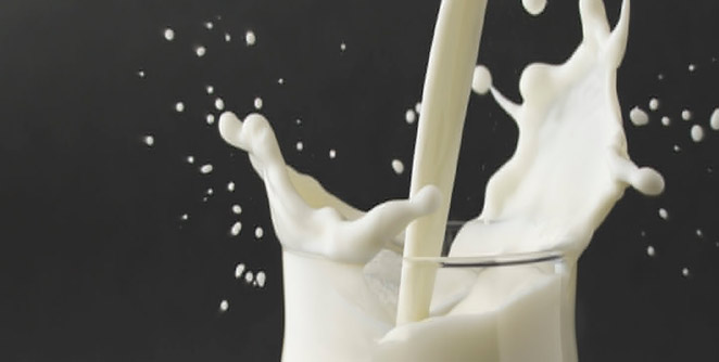 dudh