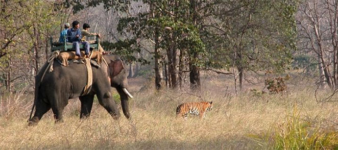 Kanha-Sanctuary1