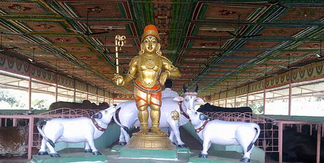 krishna