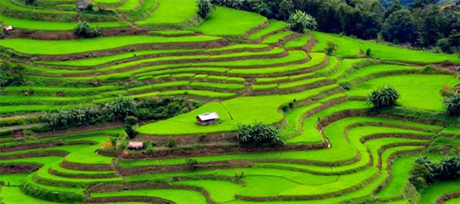 Munnar
