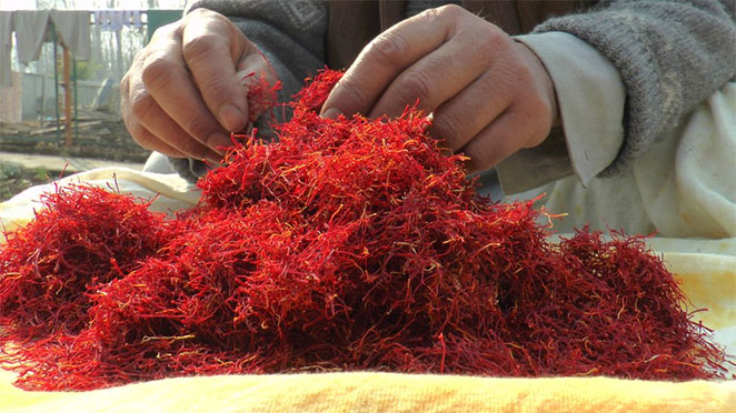 kesar2