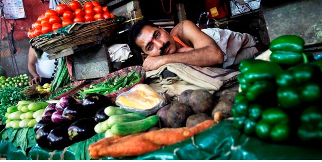 vegetable