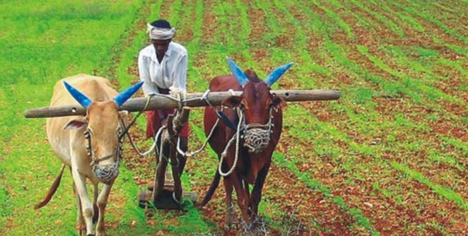 farmer