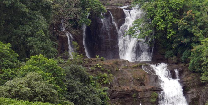 nivali