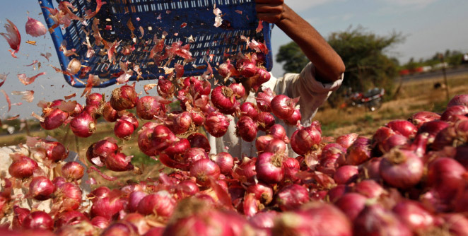onion