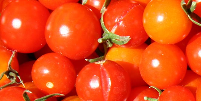 tomato