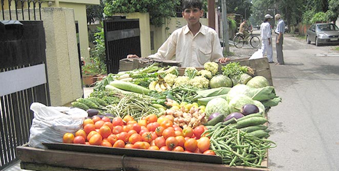 vegetable