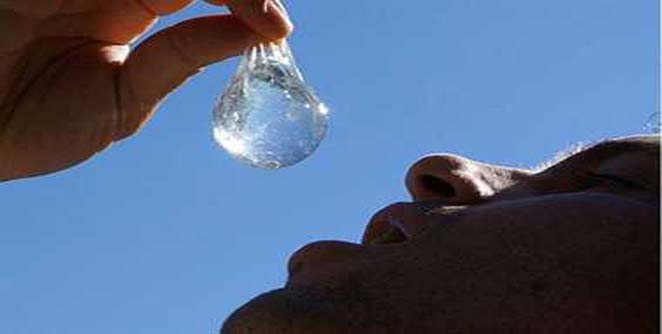 bottle