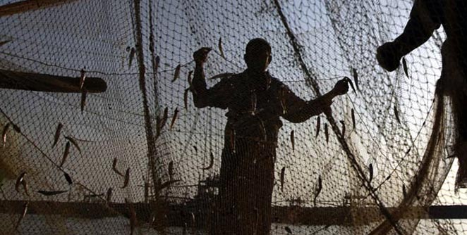 fisherman