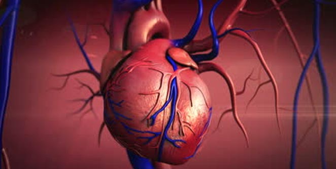 heart
