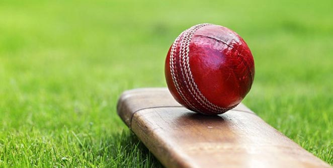 cricket