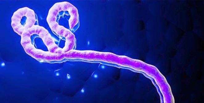 ebola