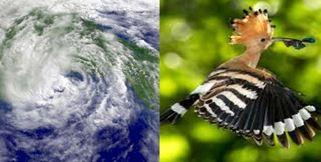 hudhud