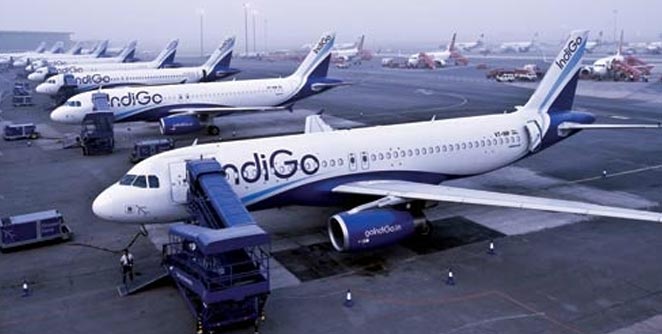 indigo