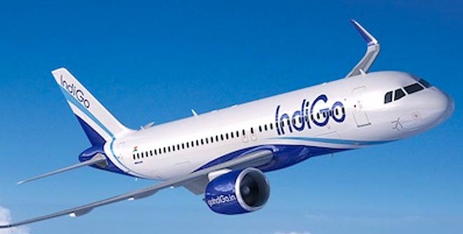indigo