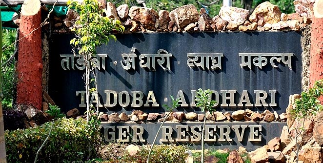 tadoba