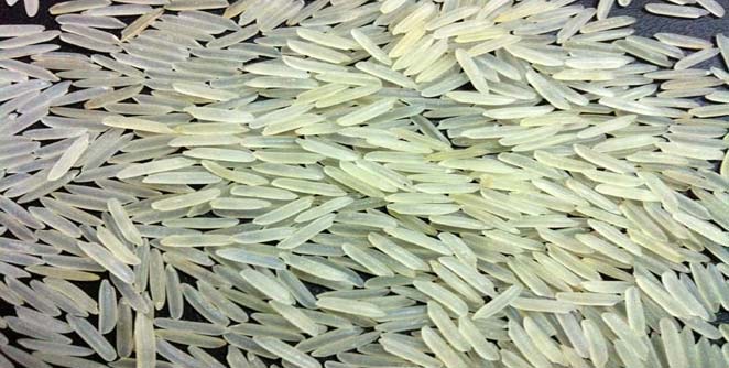 basmati