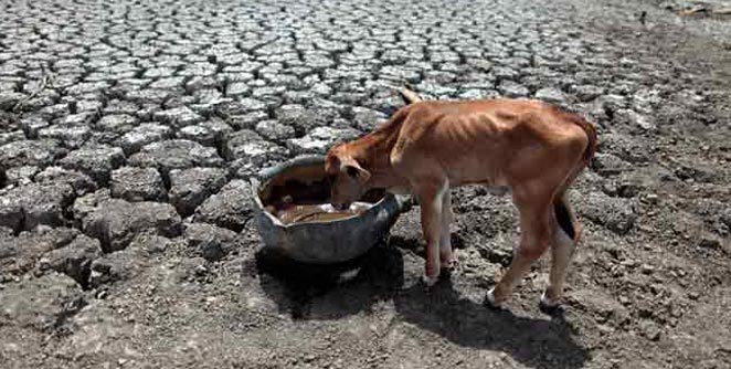drought