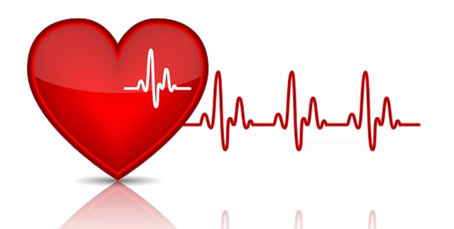 heart