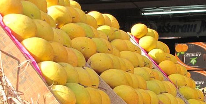 mango