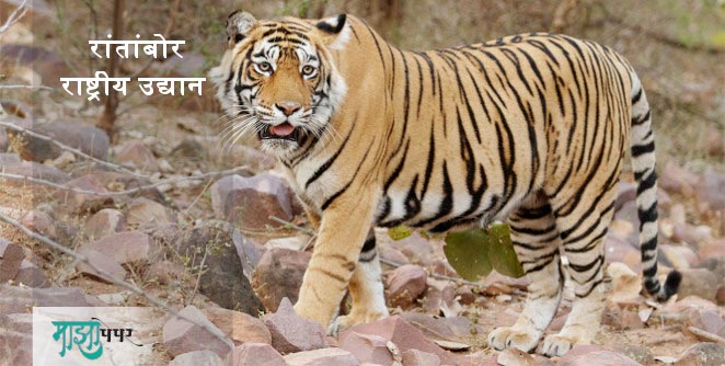 ranthmbore