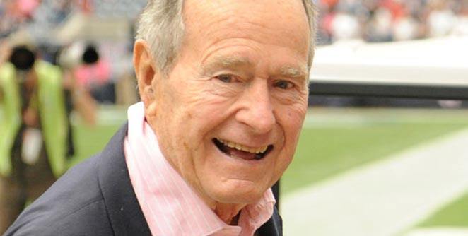 bush