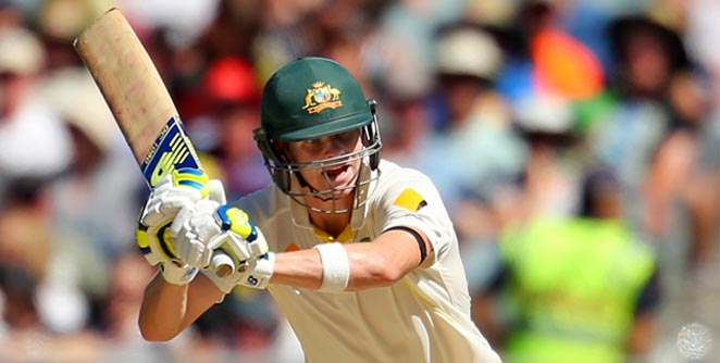 cricket