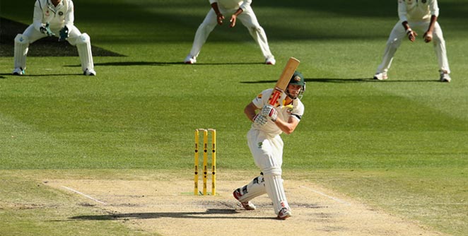 cricket