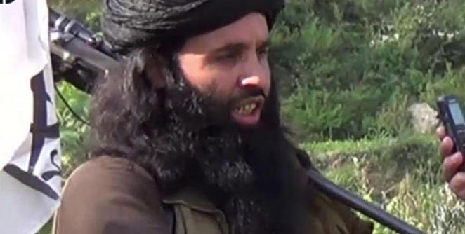 maulana