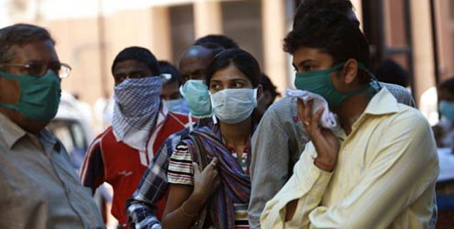 swine-flu