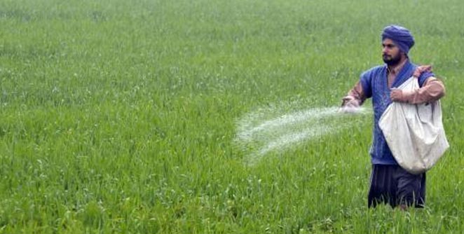 urea