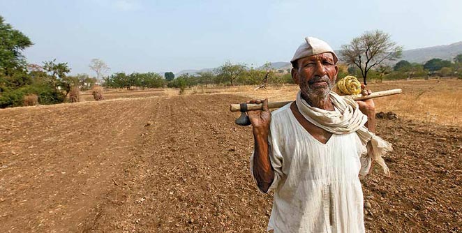 farmer
