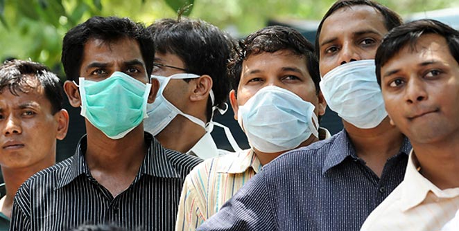 swine-flu