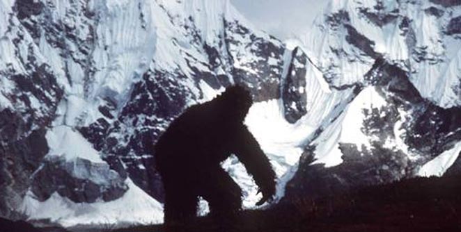 yeti