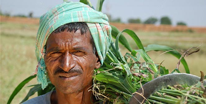 farmer
