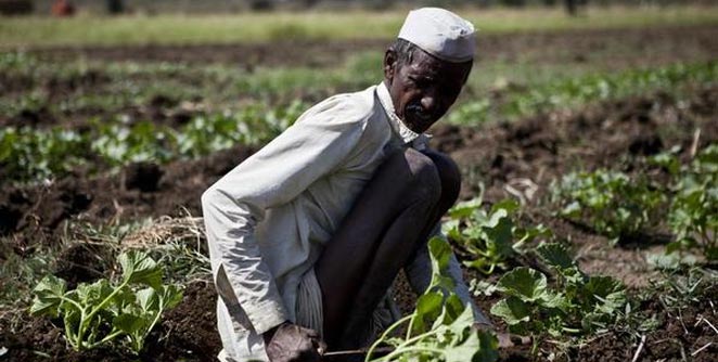 farmer