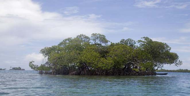 island