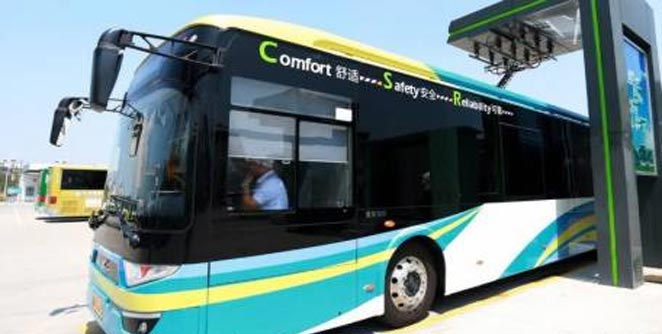 bus
