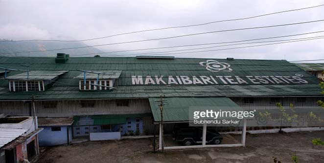makaibari