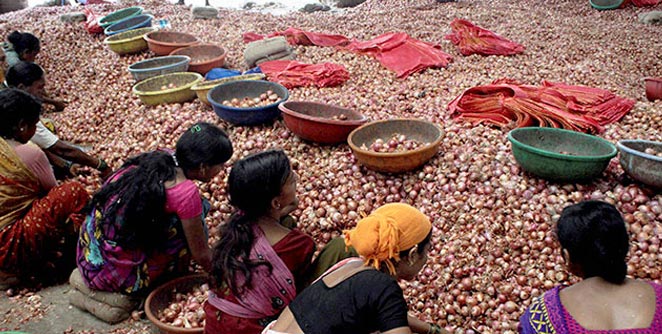 onion