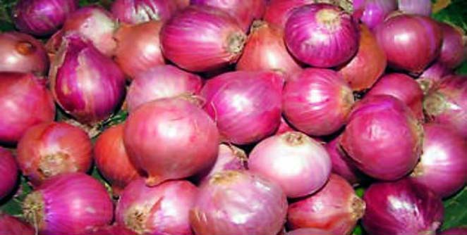 onions