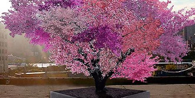 tree