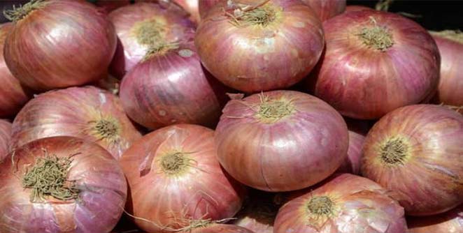 onion