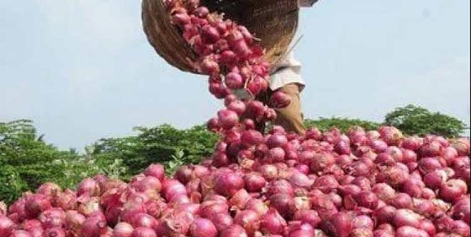 onion
