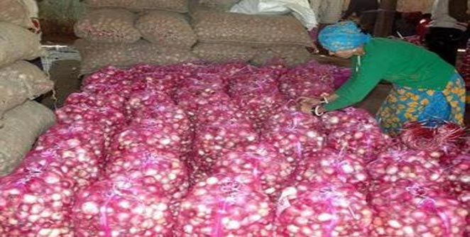 onion