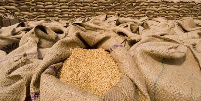 wheat
